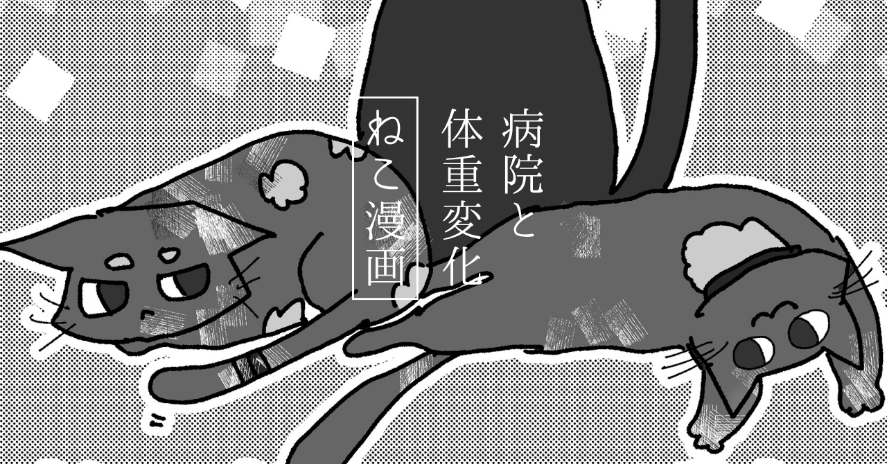 猫のワクチン接種に行ってきました!3匹3様のリアクションと成長記録🐾